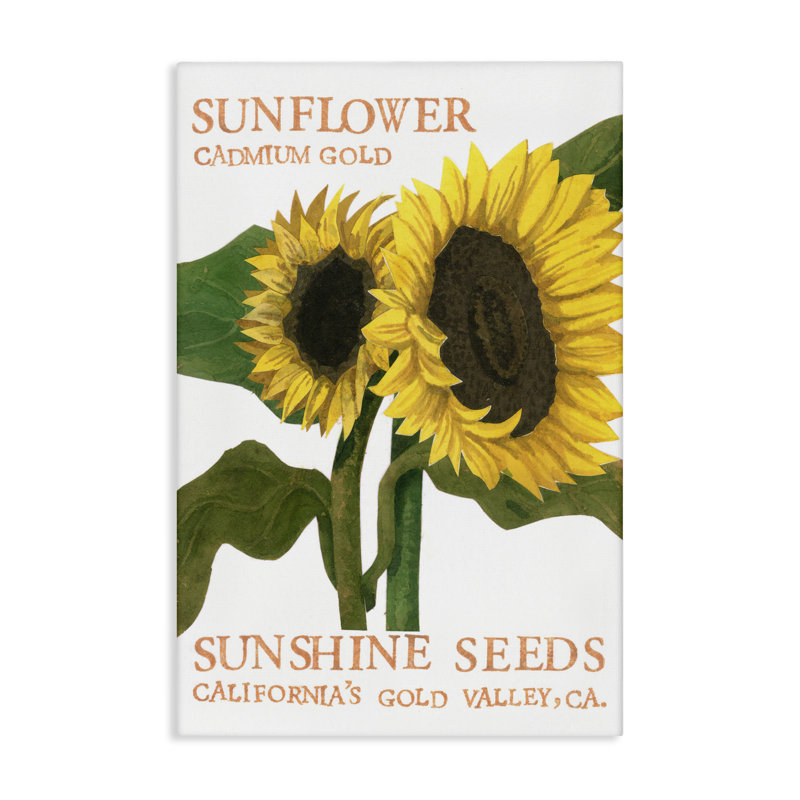 «Sunflower Seeds Design», art mural sur toile par Nancy Overton, H 24 po x l 16 po