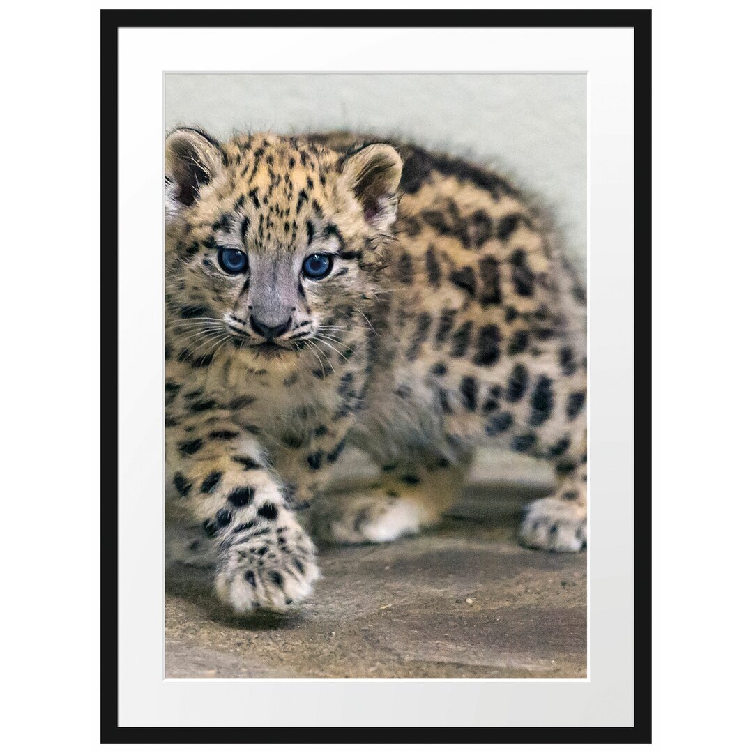 Gerahmter Fotodruck Proud Leopard Cub