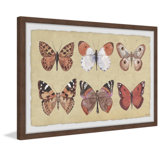 Wayfair | Butterfly Wall Art You'll Love in 2023