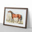 Dark-Brown Horse by Henry Alken - Picture Frame Painting Print-55491013-55491014