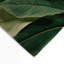 Tapis vert d'intérieur et d'extérieur Botanical-1597622115