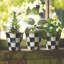Courtly Check Herb Pots