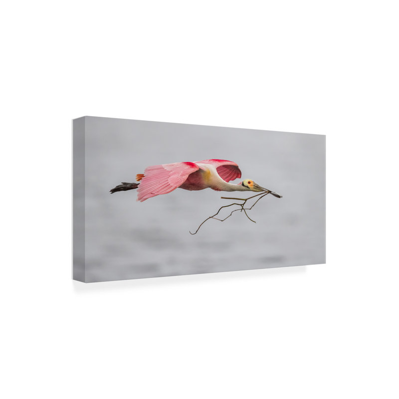 Art sur toile, rose et gris, H 12 po x l 24 po