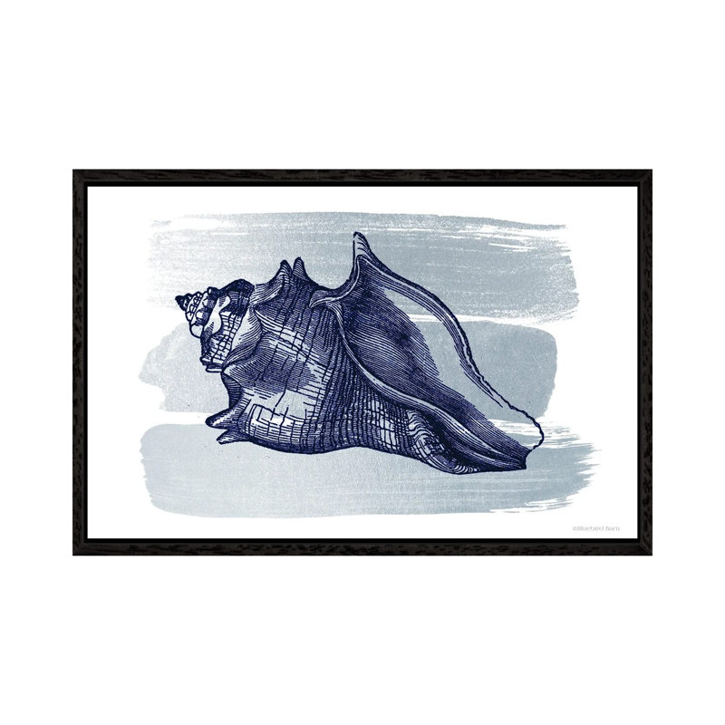 Brushed Midnight Blue Seashell by Bluebird Barn - Print on Canvas, 66.04 cm H x 45.72 cm W, Black Floater Frame
