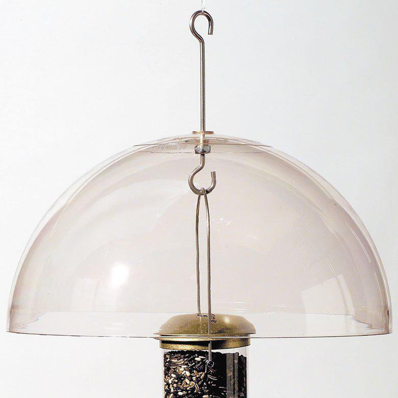 Delia Squirrel Guard Arlmont & Co.