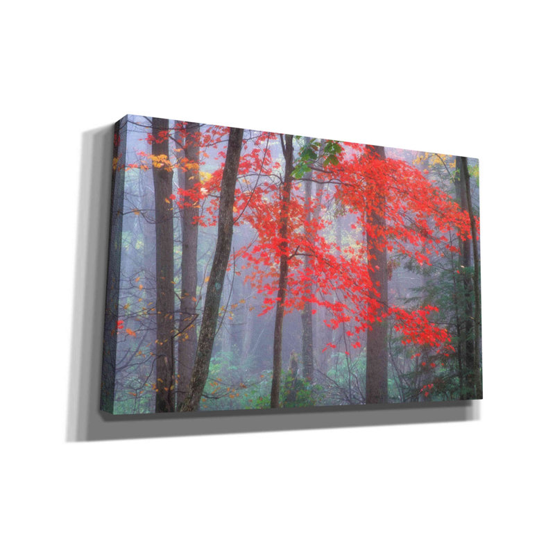 «Splash of Red» par Patrick Zephyr, art mural sur toile, H 26 po x l 40 po x P 1,5 po