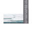 Tapis hygiénique Firman-1461586412