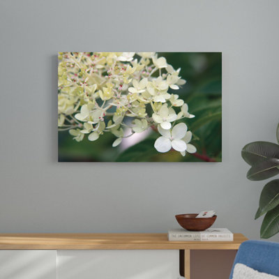 «Hydrangea Delight III» par Felicity Bradley, reproduction de photo sur toile tendue