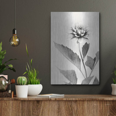 "White Dahlia II" par Lori Deiter