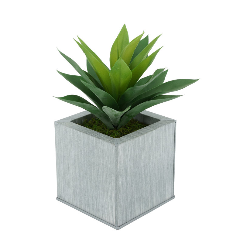 Plante grasse artificielle 7 po en pot, Ferme