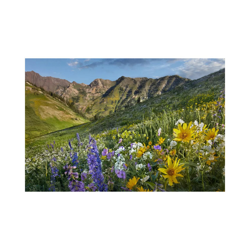 Larkspur and Sunflowers, Albion Basin, Wasatch Range, Utah 1 Piece Wrapped Canvas Wall Art, 20.32 cm H x 30.48 cm W