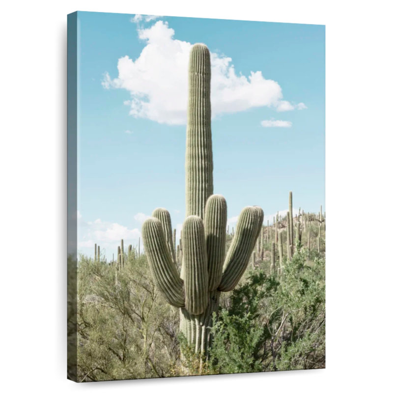 Harnek Green Cactus, 39" H x 26" W