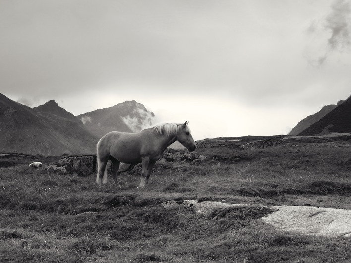 Andreas Stridsberg - No Frame Print, Canvas