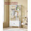 Natalio 154.5cm H x 74cm W Bookcase