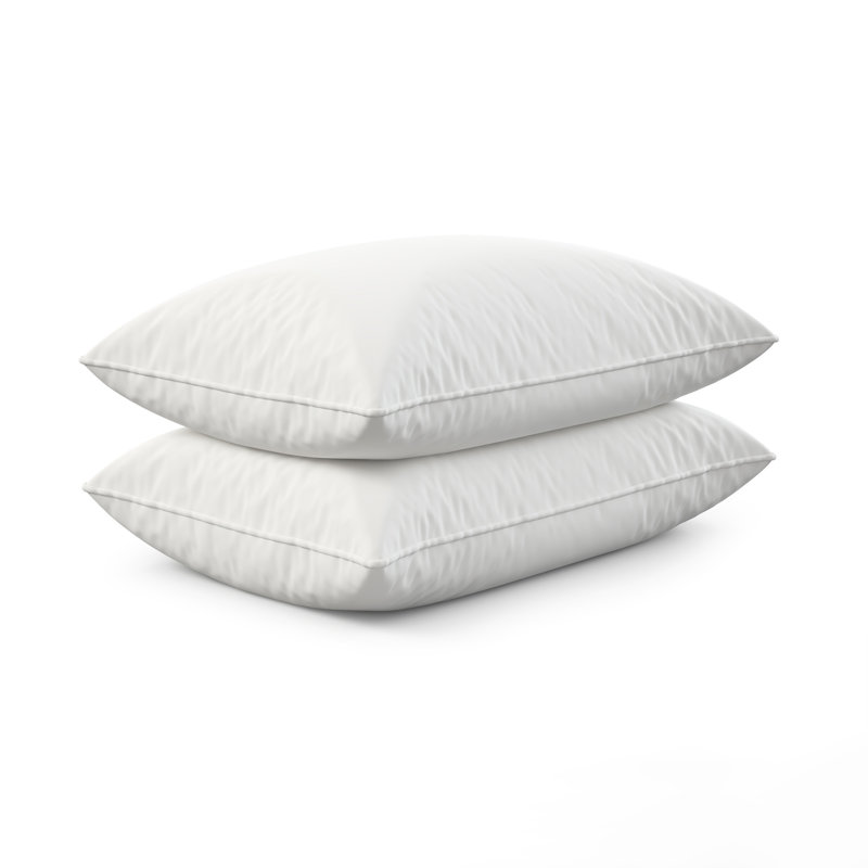 Dream Big Twin Pack Bed Pillows