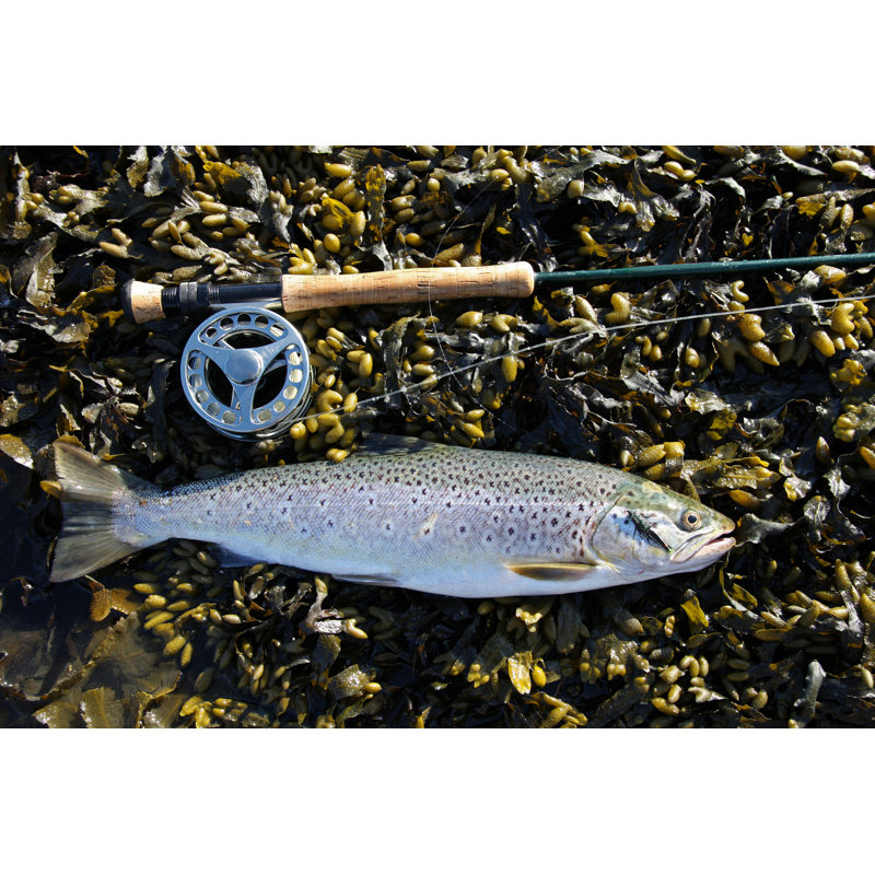 Sea Trout - Photographie sur toile tendue, H 8 po x l 12 po x P 1,25 po
