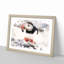 Atlantic Puffin - Framed Print-55456751-55456752