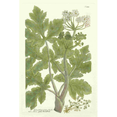 Weinmann Greenery I (JP)