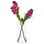 Kagan - Vase Vega - transparent