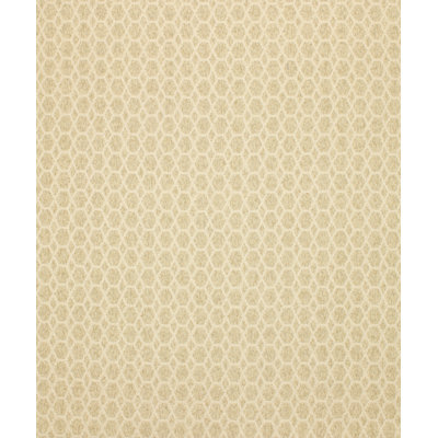Stallion Fabric