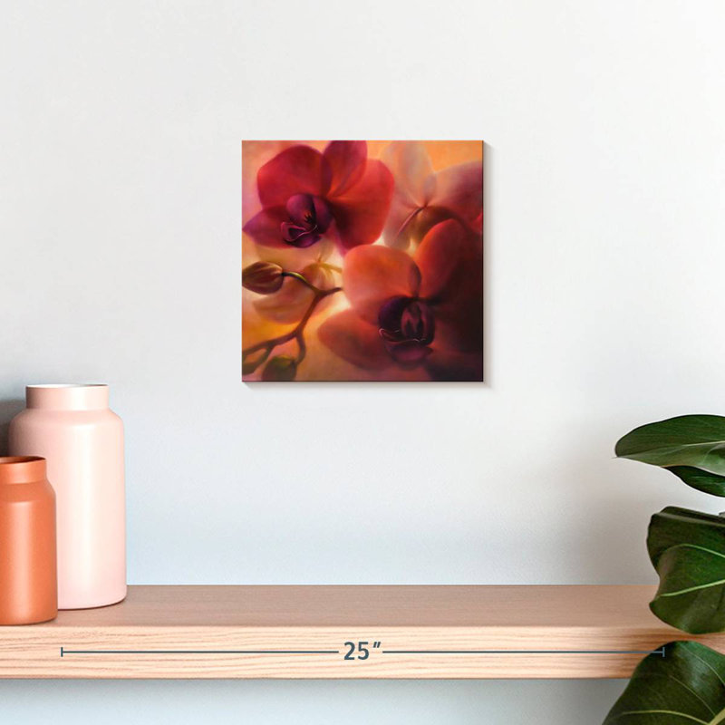 Orchidées Harnek, H 10 po x l 10 po