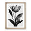 Monochrome Flower - Framed Print-1569468944-1569468946