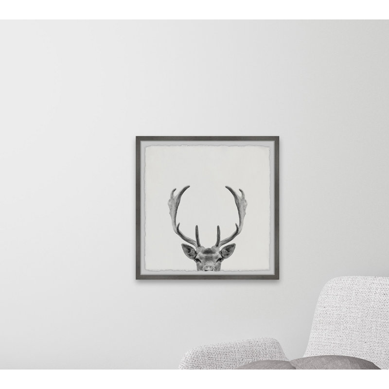 Giant Antlers by Maria Giovanni - Single Picture Frame Print, 30cm H x 30cm W x 3.81cm D