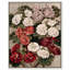 Fleurs de primevères sur toile -1723630815-1723630624-1726399976