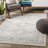 Benelva Oriental Indoor Rug-391665282