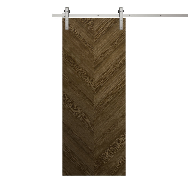Porte de grange moderne | Ego 5005 | Ensemble de quincaillerie lourde Silver Rail Track | Portes intérieures solides