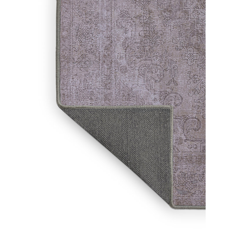 Delphos Oriental Indoor Rug, Rectangle 3' x 5'