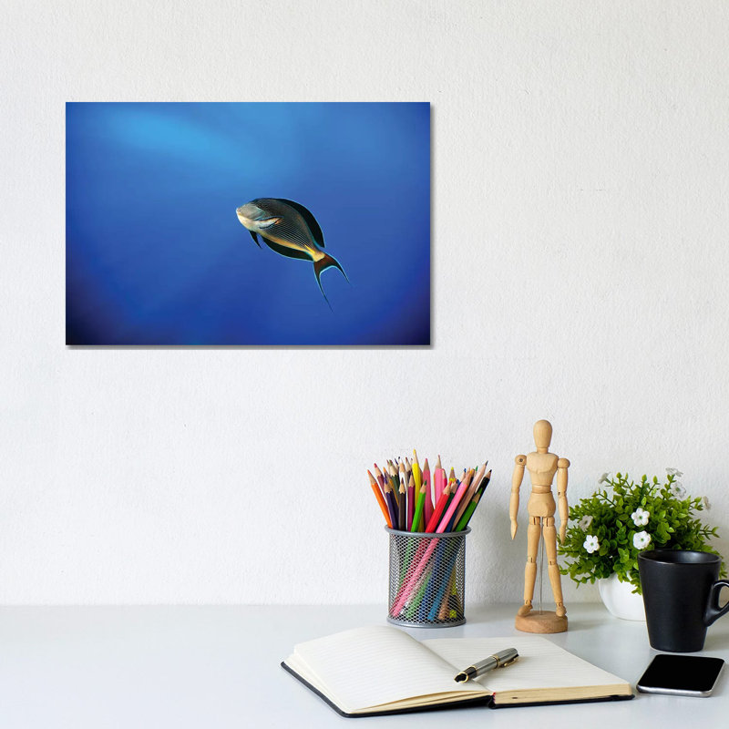 Blu 1 Piece Wrapped Canvas Painting, 20.32 cm H x 30.48 cm W x 1.91 cm D