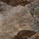 Premium Machine Washable Cerrito AMF555 Terracotta Rug