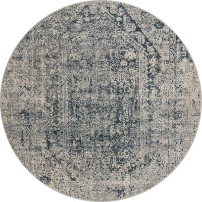 Corteney Oriental Indoor Rug