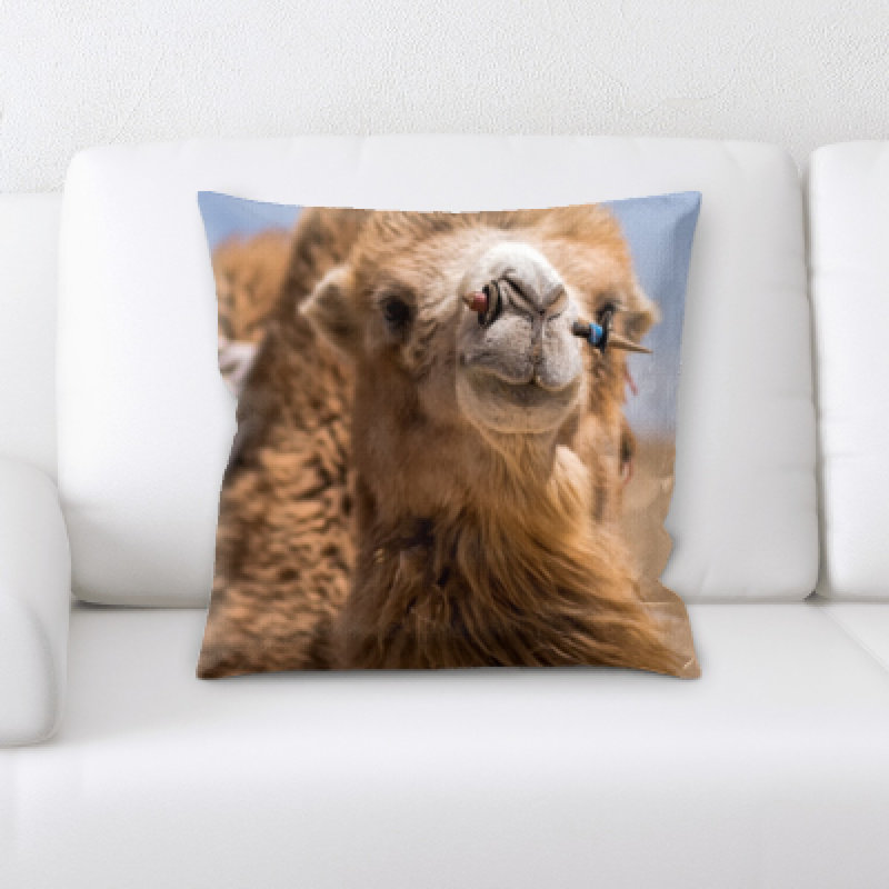 Microsuede Throw Pillow