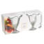 Hurricane Glass Set