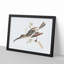 Hummingbird by Johan Teyler - Picture Frame Painting Print-55578800-55578805