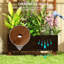 Wood Raised Garden Bed