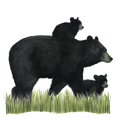 " Woodland Babes IV " by Grace Popp