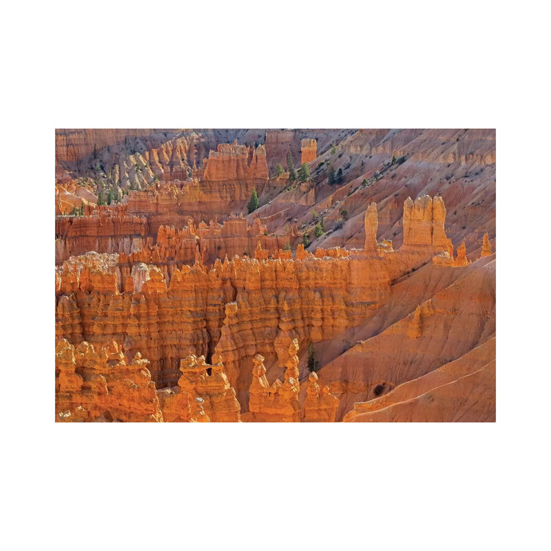 Utah, Bryce Canyon National Park. View Of Canyon With Hoodoos - Wrapped Canvas Print