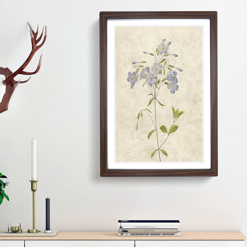 Lilac Phlox Flowers by Pierre-Joseph Redoute - Picture Frame Painting Print, 48cm H x 36cm W x 2cm D, Walnut Framed