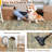 Machine Washable Vintage Multi-Color Area Rug With Non-Slip Backing-112440664