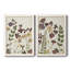 Pressed Flower Arrangement V - Ensemble de 2 reproductions d'art-137164410-147857830-147857831