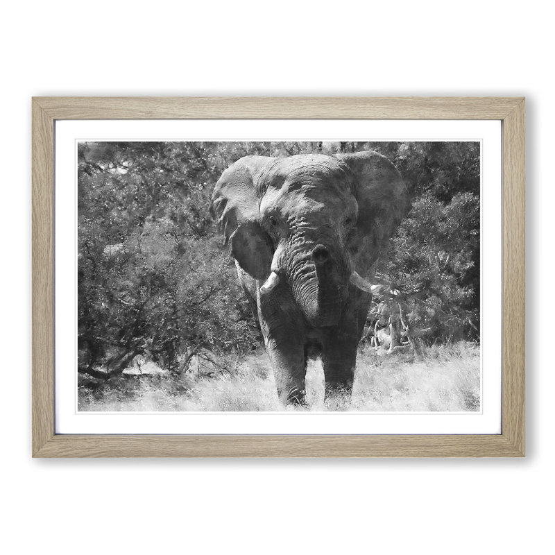 The Majestic Elephant - Framed Print, 45cm H x 63cm W x 2cm D, Oak