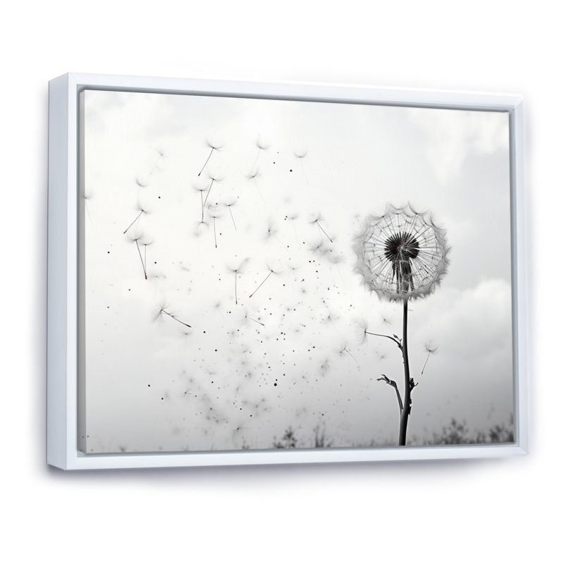 «Minimalims Dandelion Natures Fragility I», art mural sur toile pissenlit, H 34 po x l 44 po, Cadre flottant blanc