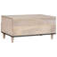 Solid Wood Coffee Table with Storage-1612111462