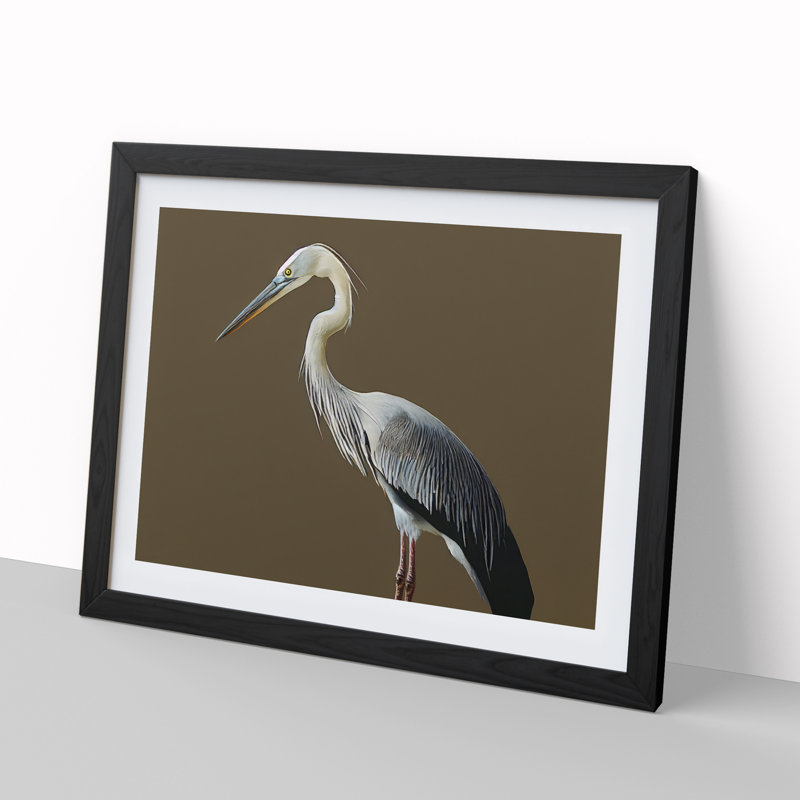 A Head Turning Heron Bird - Single Picture Frame Print, 46cm H x 64cm W x 2cm D, Black