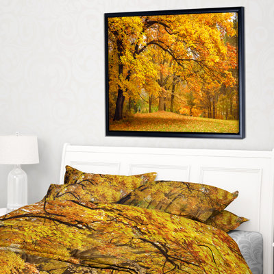 " Golden Autumn Forest "