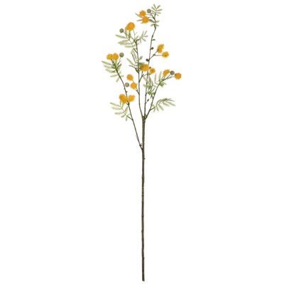 Stems