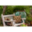 Housse et insert de coussin carré extérieur Anchor Up-111804215-111806203